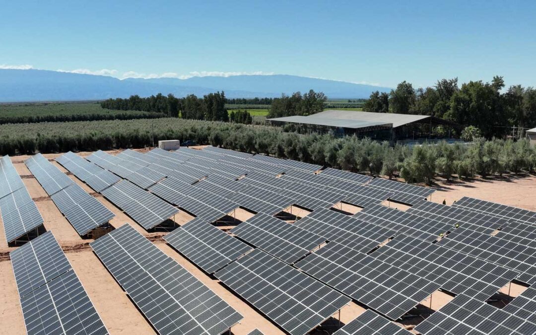 La energía solar como herramienta estratégica para el sector productivo: la visión de Cladan Energy