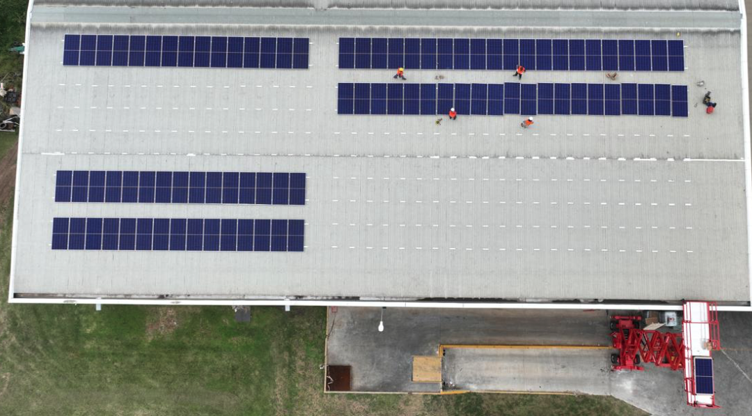 Energía solar en granjas avícolas: la apuesta que baja costos, asegura suministro y suma competitividad